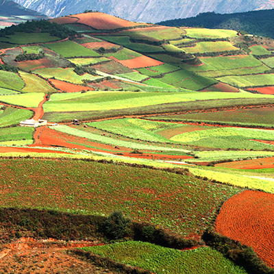 Séjour Yunnan