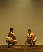 Combats de Sumo