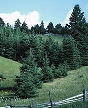 les Paysages du Québec